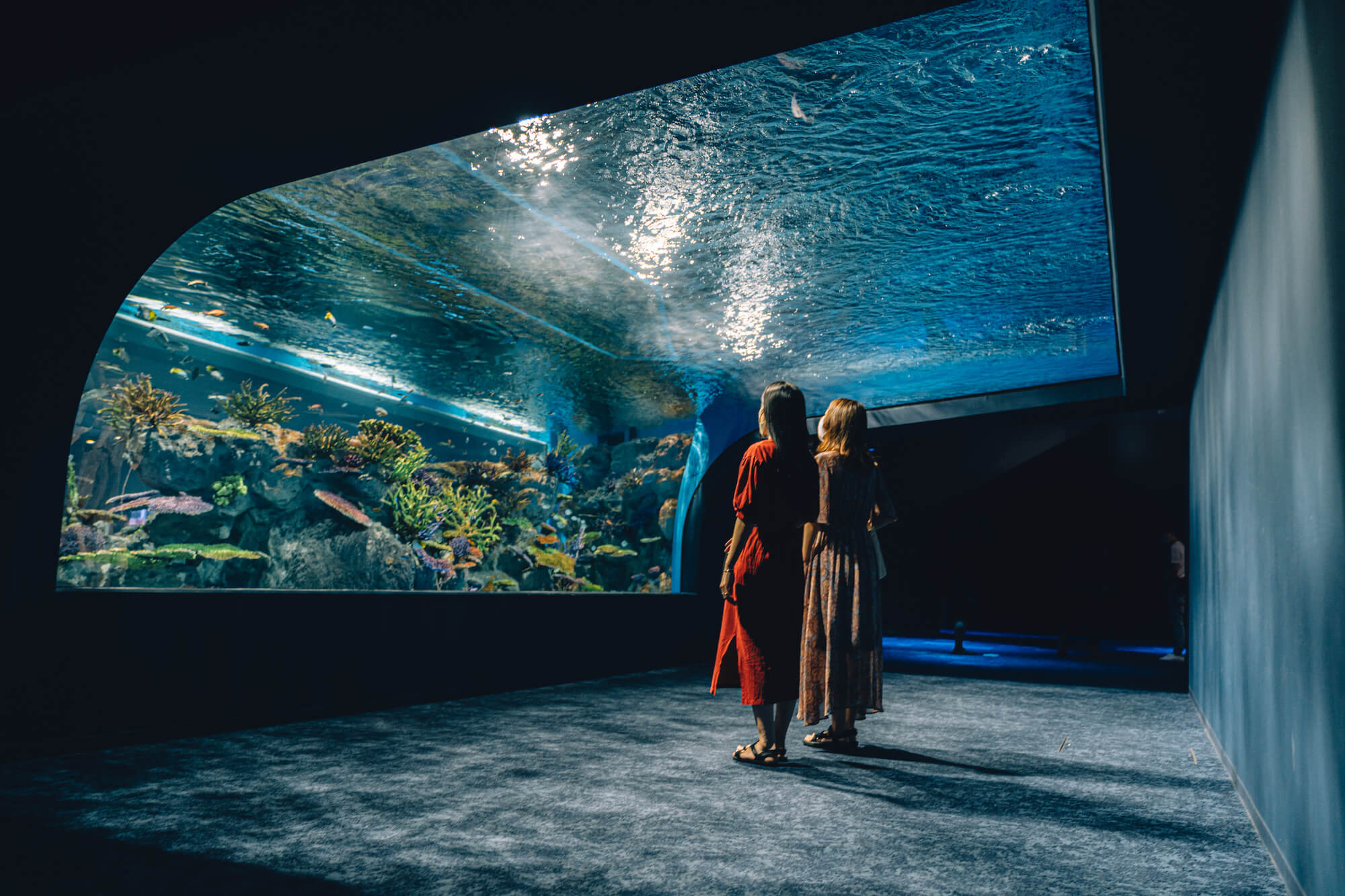 DMM Kariyushi水族館